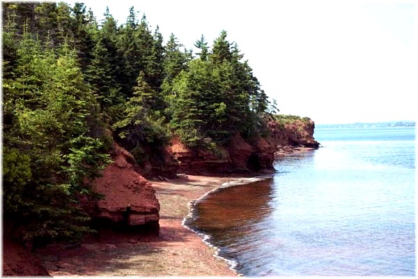 Local Beaches