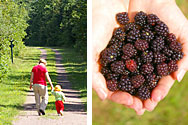 Blackberry